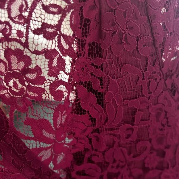 THEIA Raspberry Red Cocktail Lace Dress - Picture 7 of 7